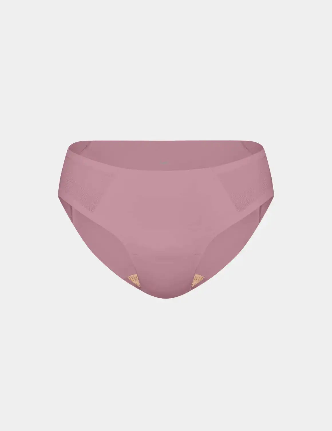 Essential Mesh Bikini - Last Call